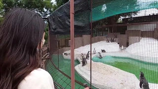 （裸）业余电视 PREMIUM 13