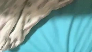 欧洲学生在床上和她的瘦妹妹调皮